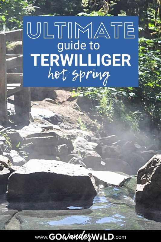 Terwilliger (Cougar) Hot Spring | Go Wander Wild