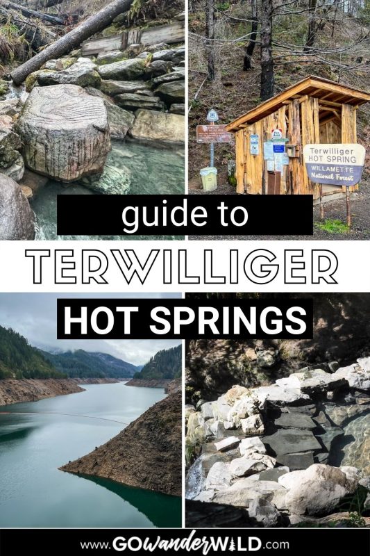 Terwilliger (Cougar) Hot Spring | Go Wander Wild