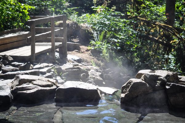 Terwilliger Hot Spring