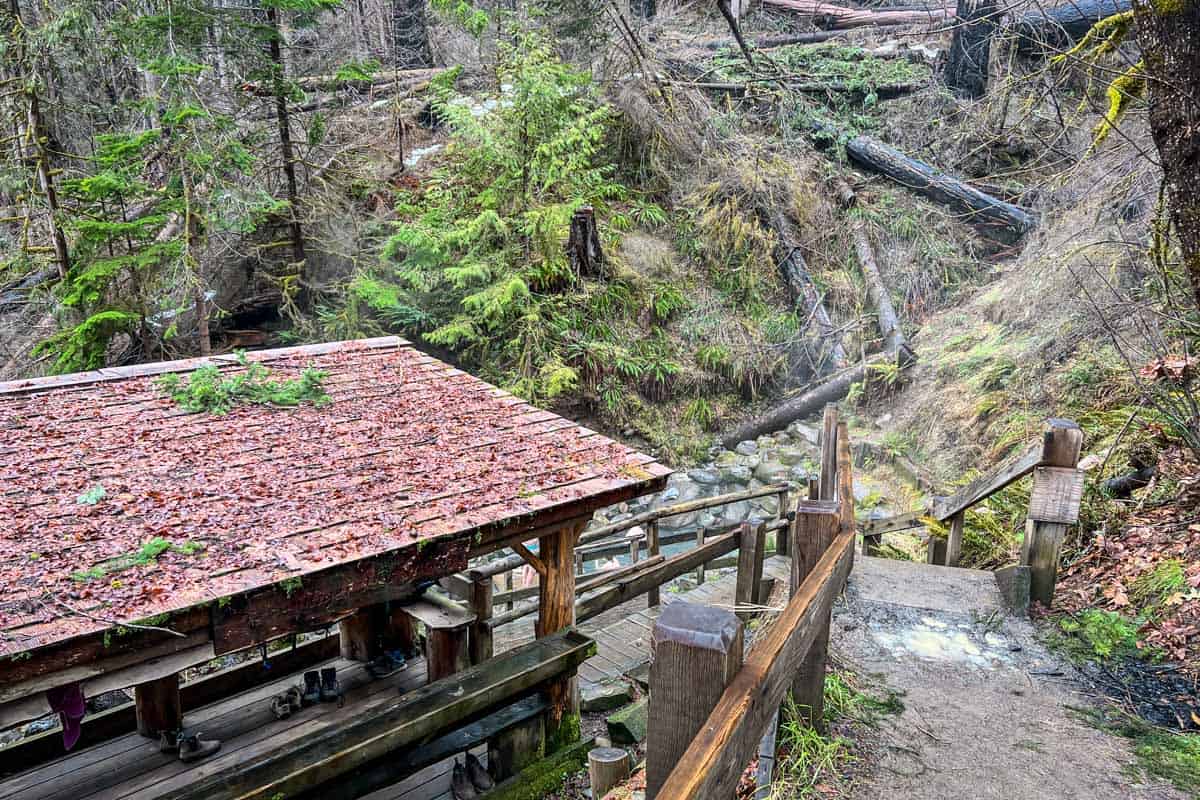 Terwilliger Hot Spring