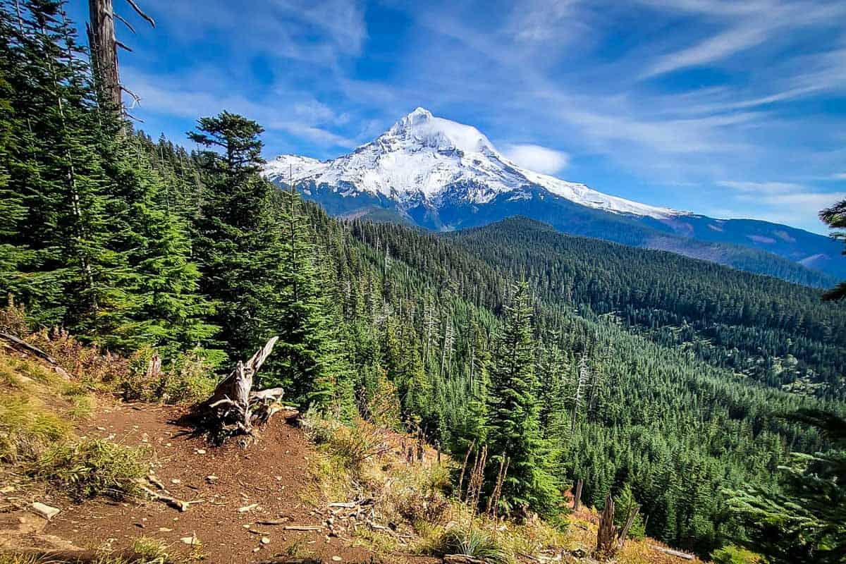 Bald Mountain (Brett Peralta)