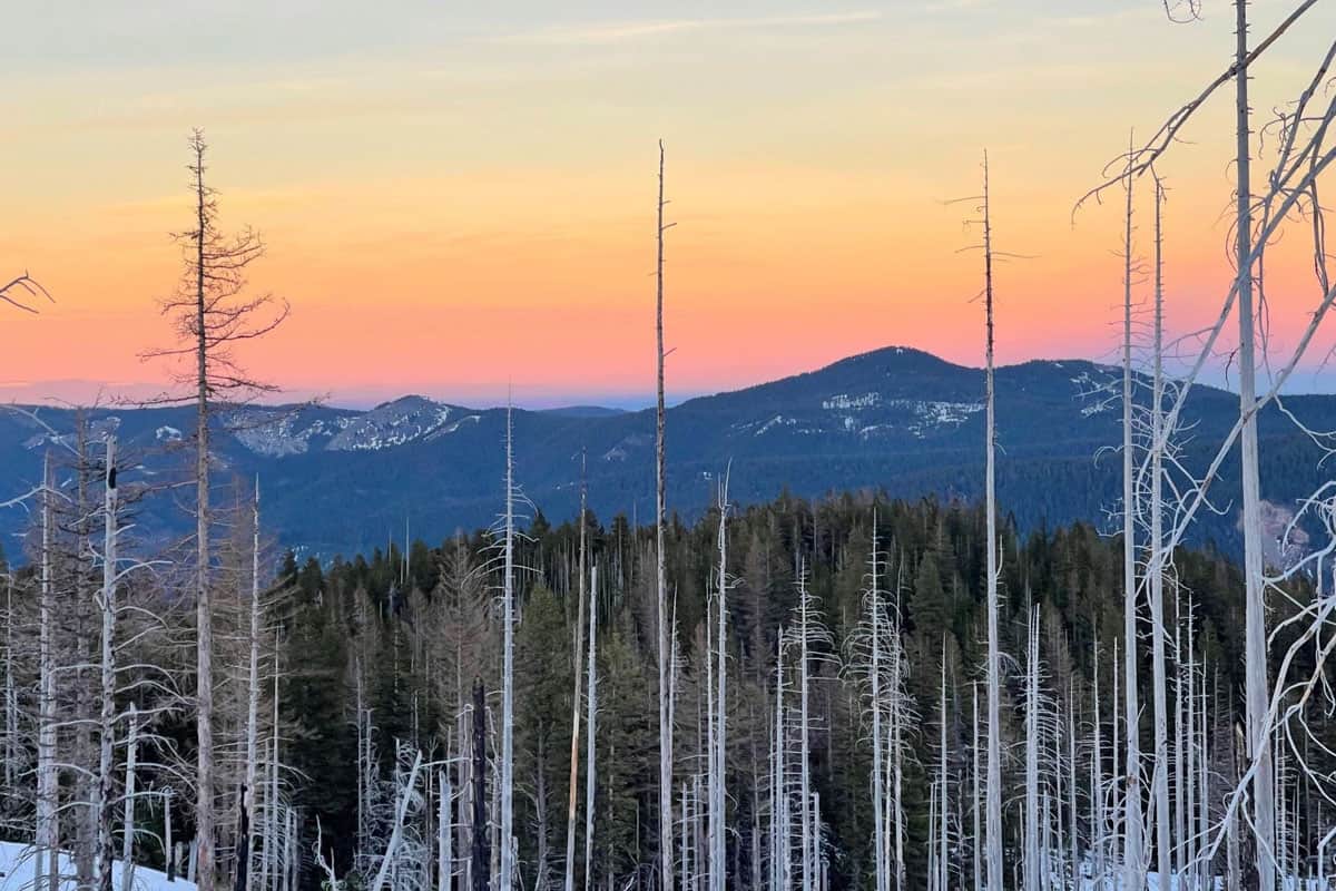 Cooper Spur Trail (Eric Katzenbach)