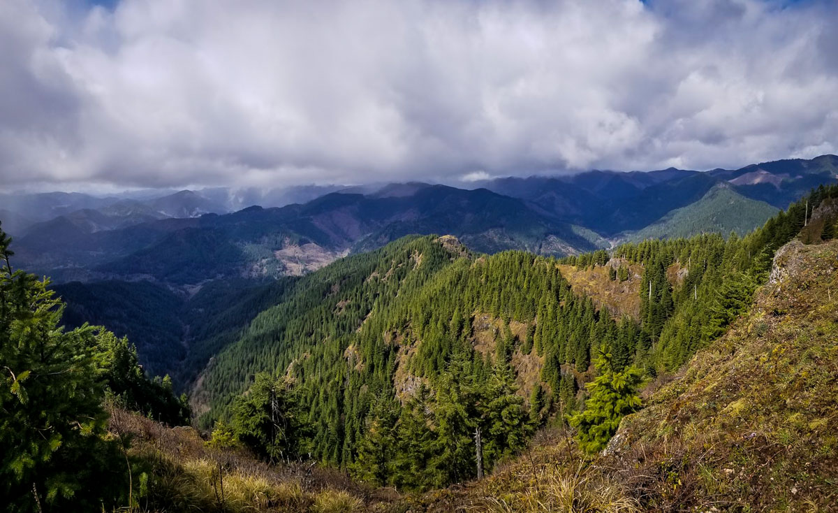 Kings Mountain Trail (Hyeri Jung)