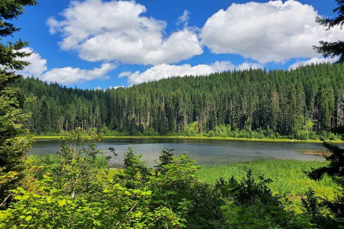 Marion Falls and Gatch Falls Trail (Natividad Peña Esquivel)
