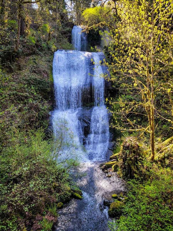 McDowell Creek Falls (Coralee Garey-Wilder)