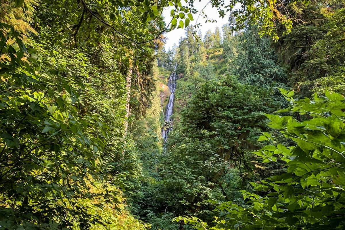 Munson Creek Falls (Trevor Parker)