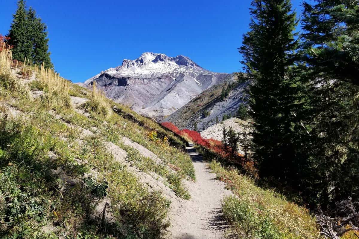 Paradise Park Hike - Hiking in Portland, Oregon and Washington