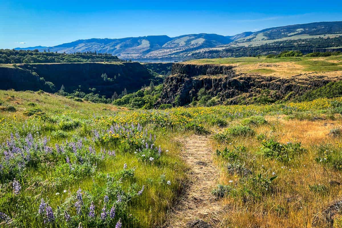 Rowena Plateau Trail: Oregon Hiking Guide - Go Wander Wild