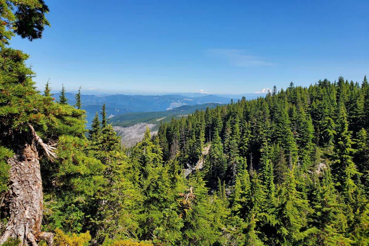 Timberline Trail (Garrett Ginter)