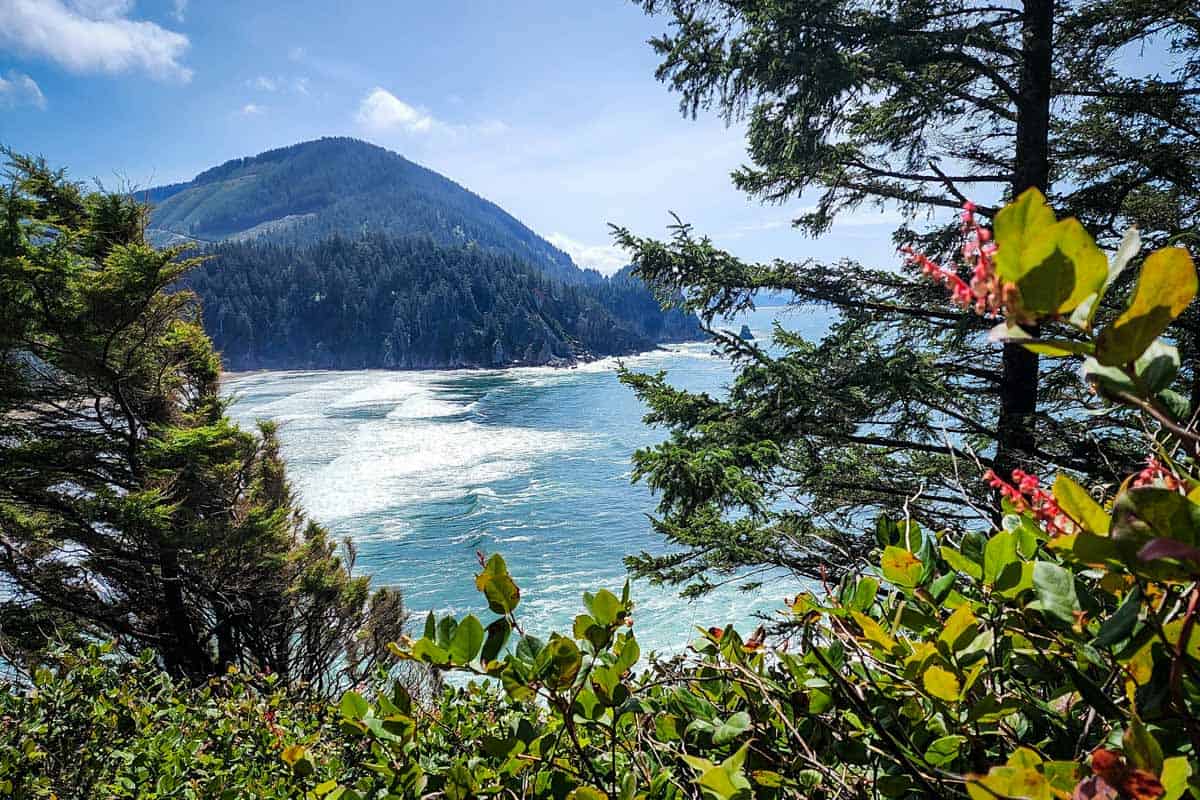 Cape Falcon Trail (Lauren Durchslag)