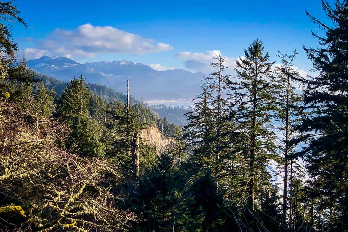 Clatsop Loop Trail (Andrew Howery)