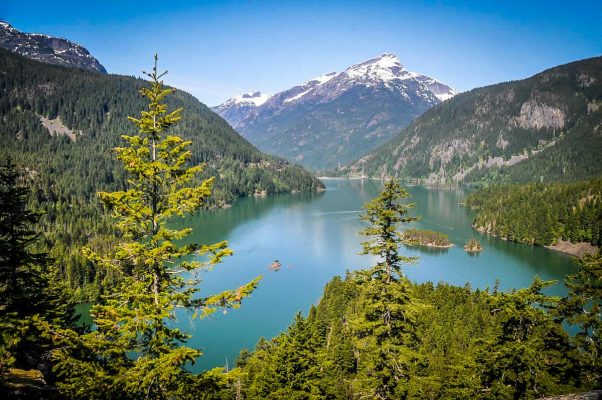 Washington National Parks: Guide + Map - Go Wander Wild