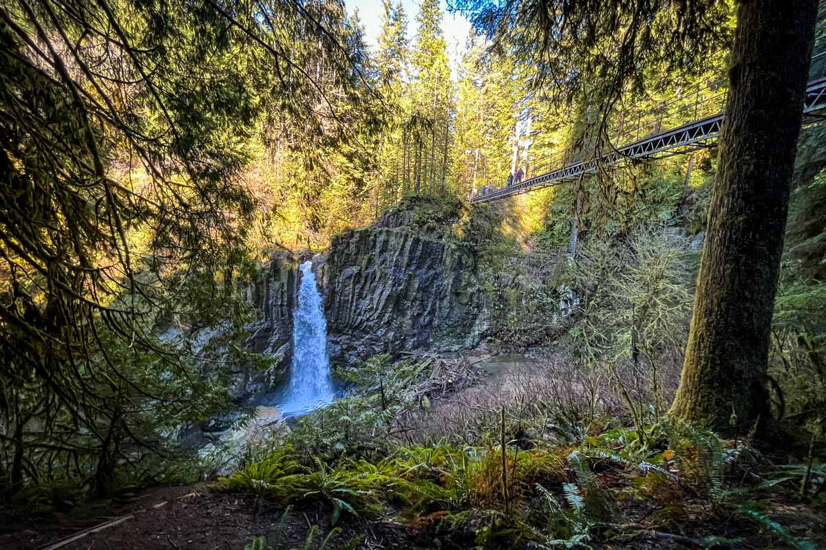Drift Creek Falls Oregon