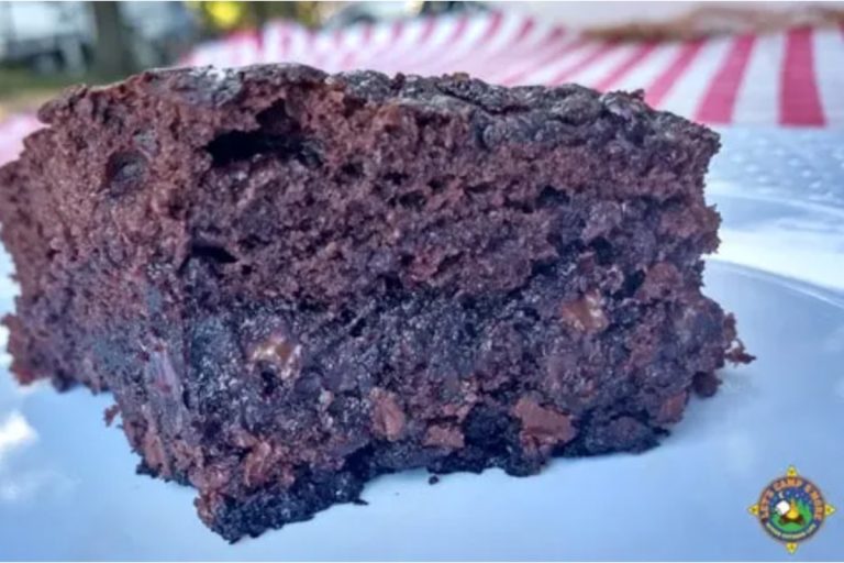 25 Delicious & Easy Campfire Desserts Go Wander Wild