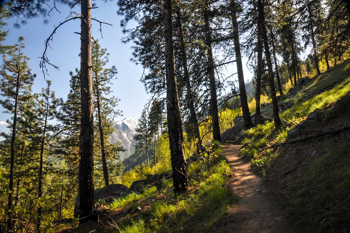 Icicle Ridge trail Leavenworth Washington