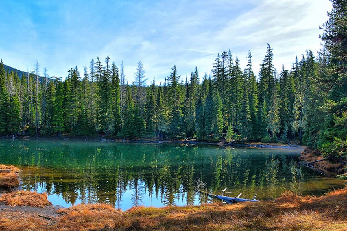 Bend Oregon Camping: 15 Best Campsites - Go Wander Wild