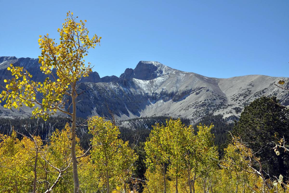 Great Basin National Park Nevada