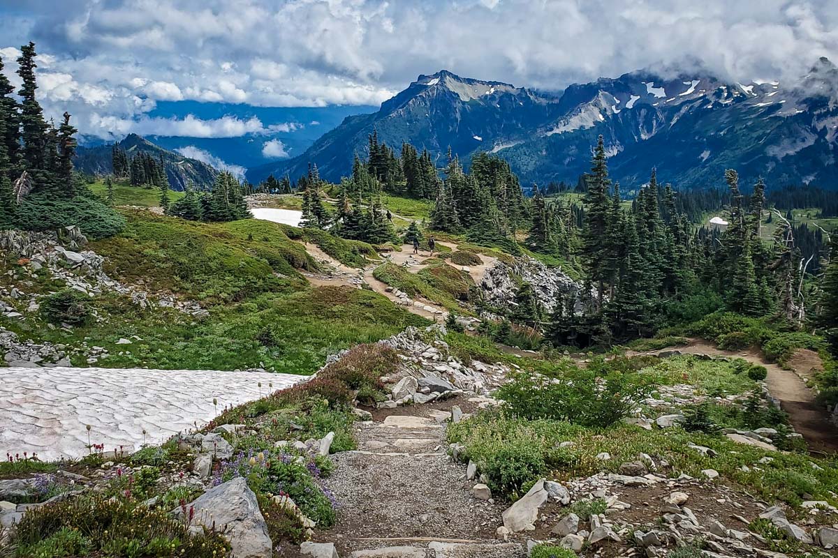 Skyline Trail Loop (Paul Strong)