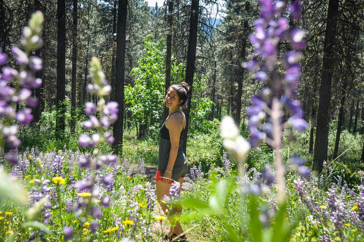 Ski Hill Hike Leavenworth Washington