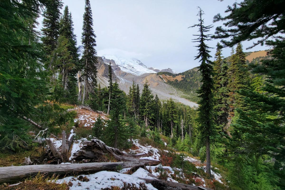Wonderland Trail to Panhandle Gap (Charles Paraboschi)