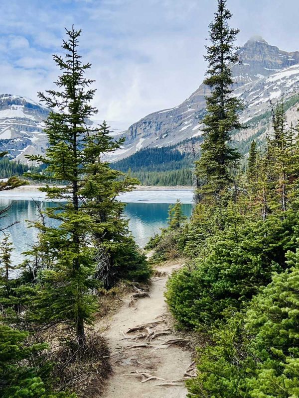 Bow Glacier Falls (Heidi Kuhn)