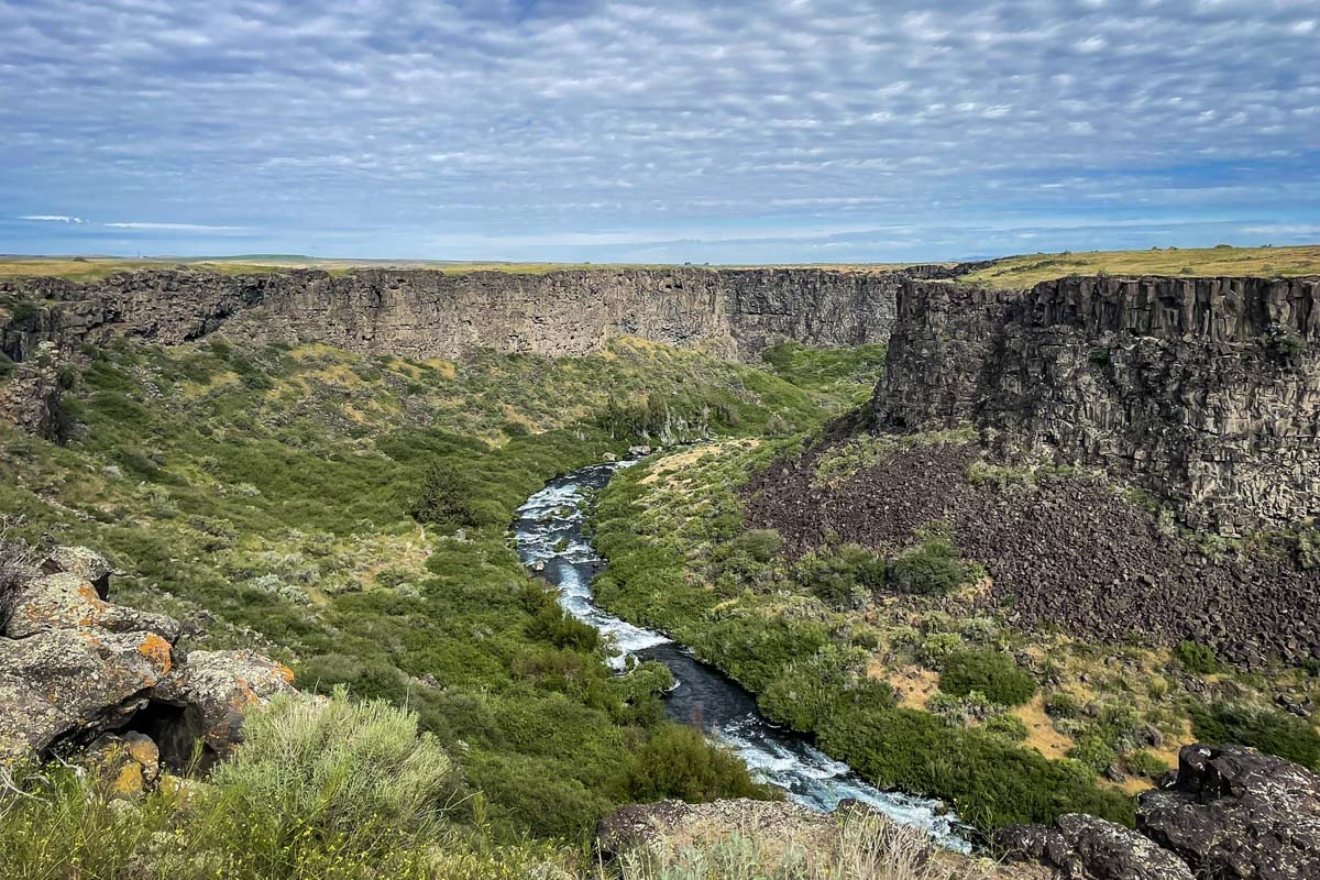 Box Canyon Springs Trail (Jennifer Povinelli)