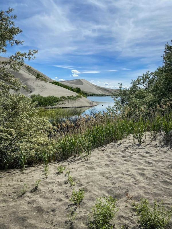 Bruneau Dunes Loop (Troy Kozak)
