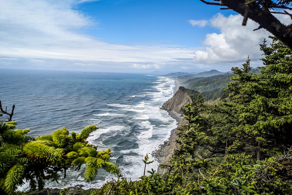 Cape Sebastian Trail (Amira Mikhail)