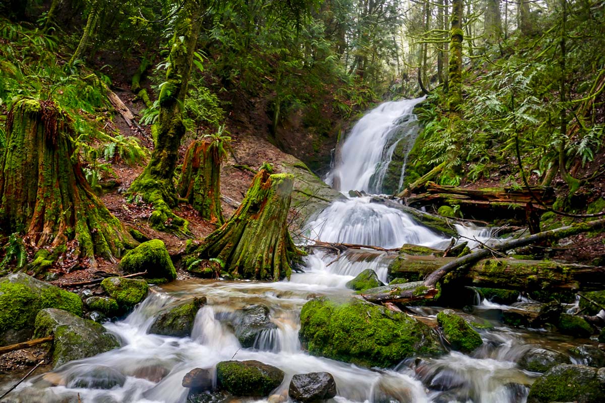 Coal Creek Falls (Yaz Obara)