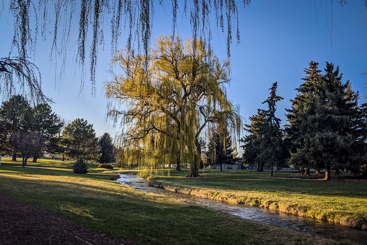 College of Southern Idaho Fitness Trail (Digger Zout)