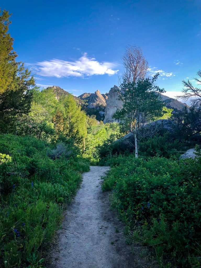 Hiking in Idaho 15 Best Trails for Every Level Go Wander Wild