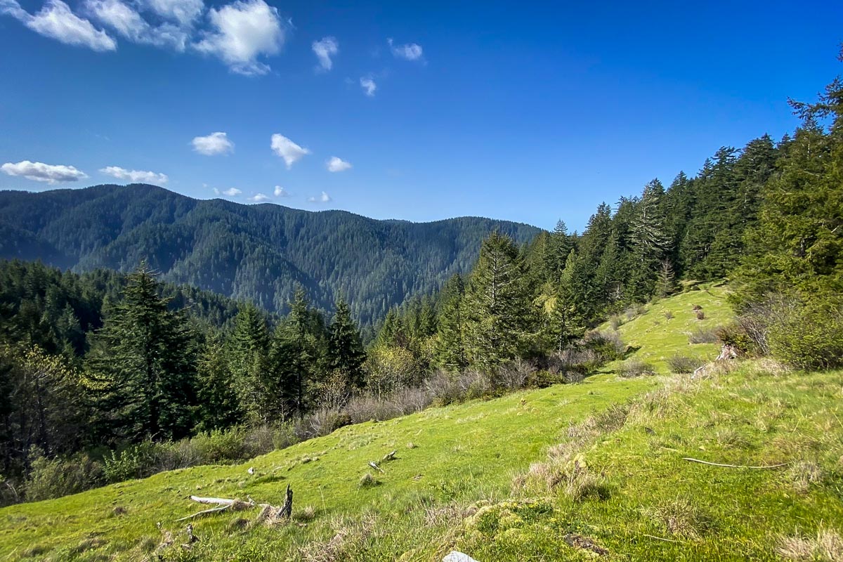 Cummins Creek Trail (Jordann Vortmann)