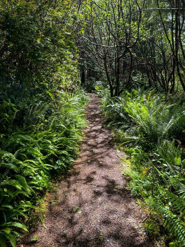 Fort to Sea Trail (Chris Heydemann)