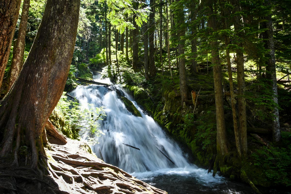 Little Zig Zag Falls Mount Hood Oregon