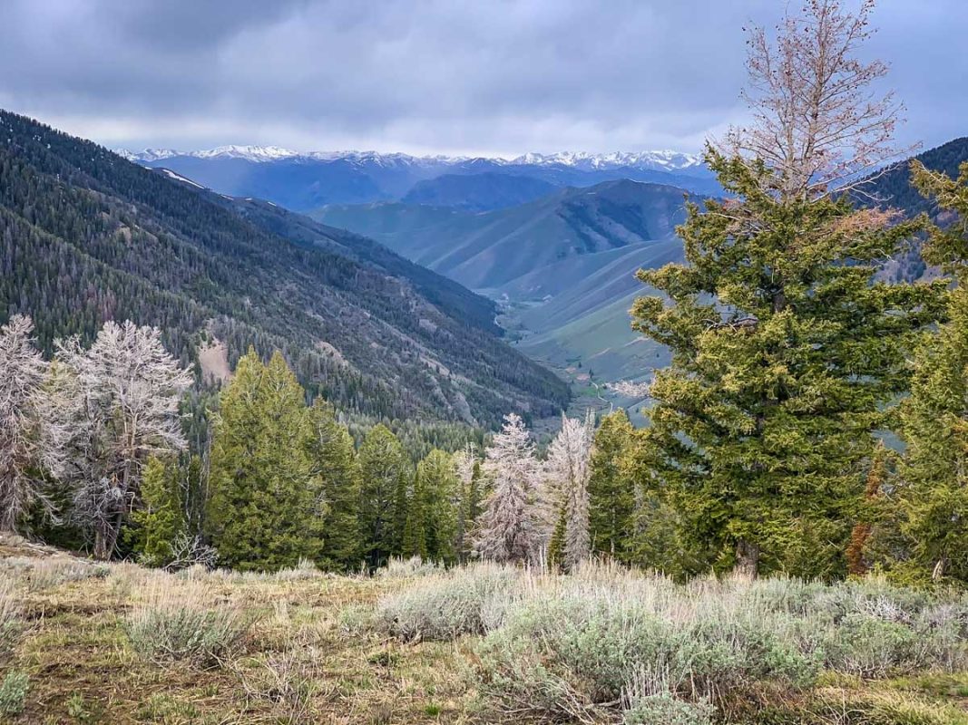 Long Gulch to Pioneer Cabin Loop (Robert Bosland)