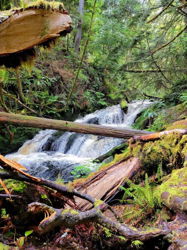 15 Beautiful Washington Waterfalls Near Seattle - Go Wander Wild