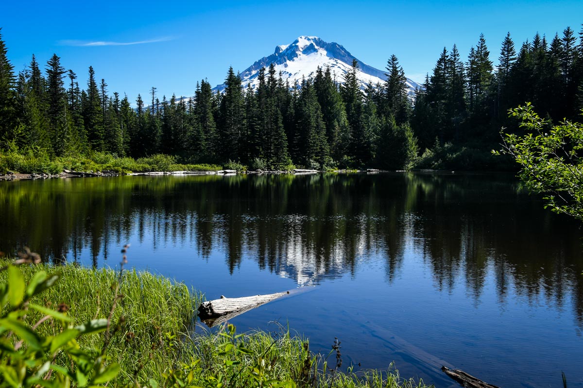 Mt hood outlet national forest hiking