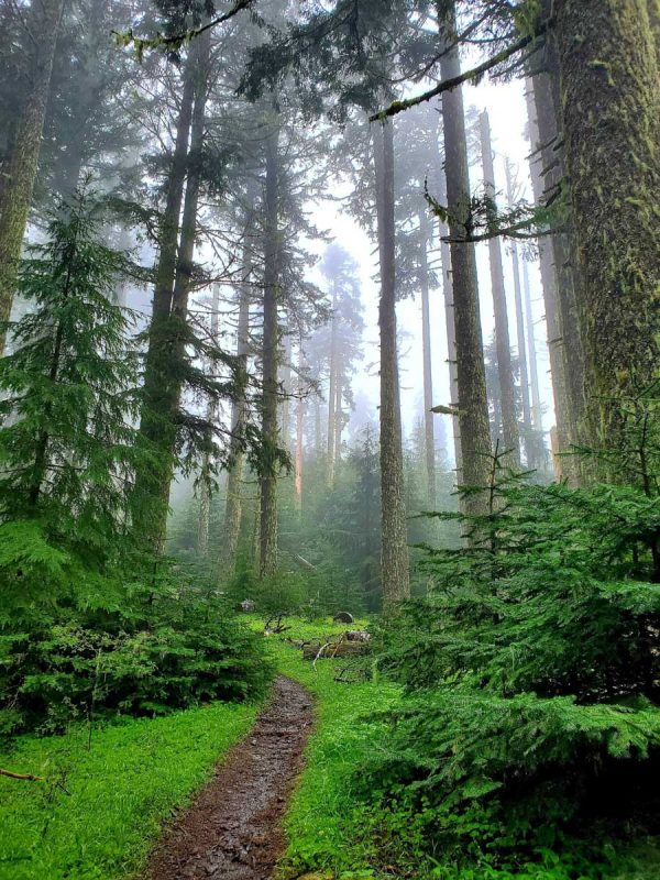 North Ridge Trail (Scott Golbinec)