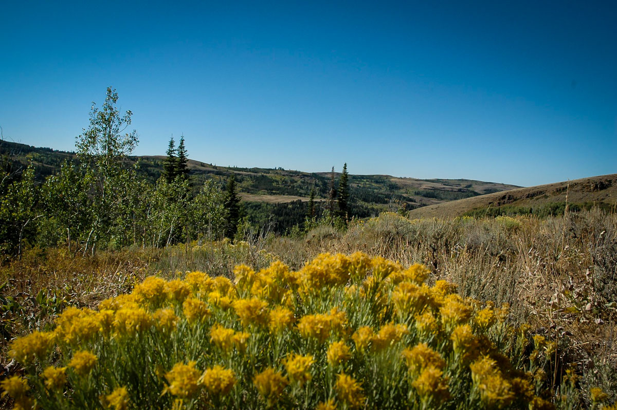 15 Must-Do Hikes In Twin Falls, Idaho - Go Wander Wild