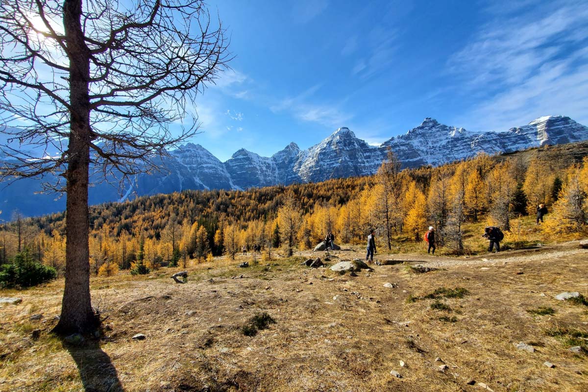 Sentinel Pass via Larch Valley Trail (James Thistle)