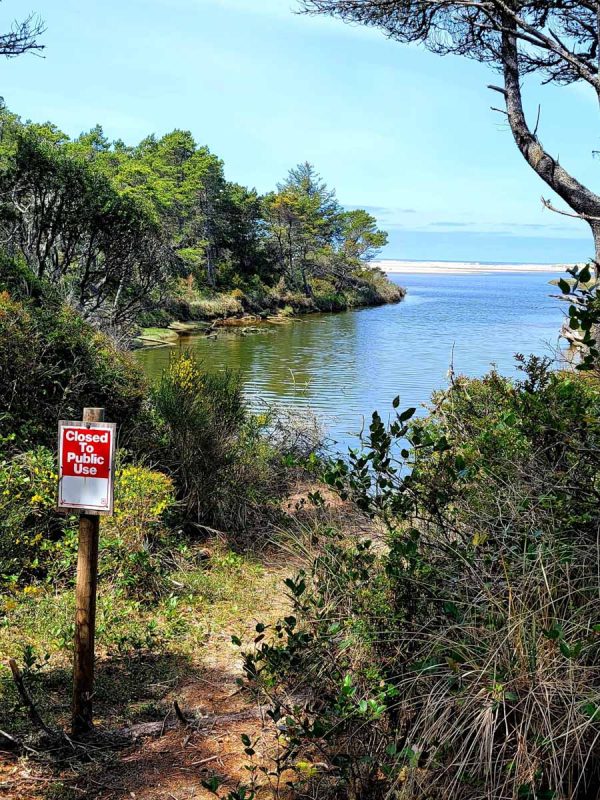Waxmyrtle Trail (Kim Pennington)