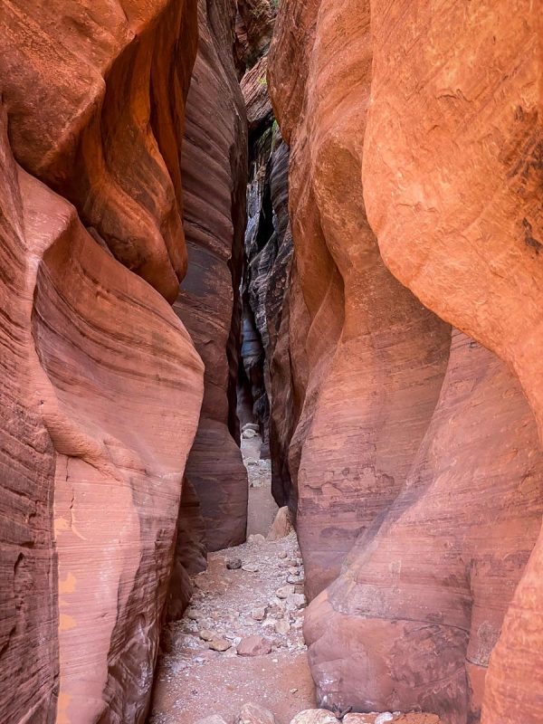 Wire Pass Trail (James Morris)