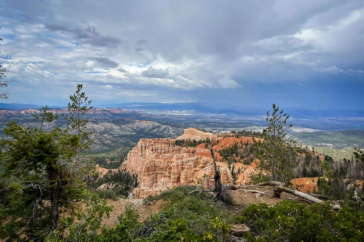 Bristlecone Loop (Mollie Weaver)