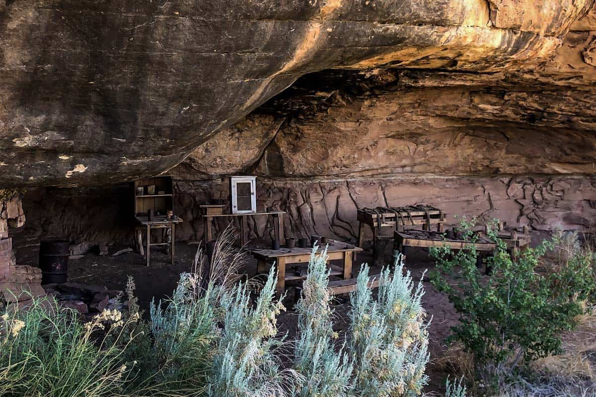 Cave Spring (Theo & Mia Brouwers)