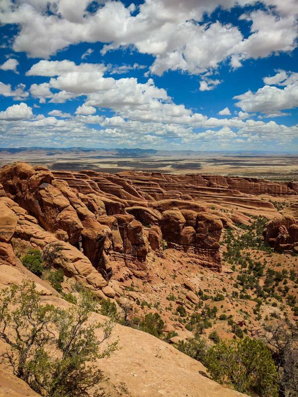 Devils Garden (Sophia L)