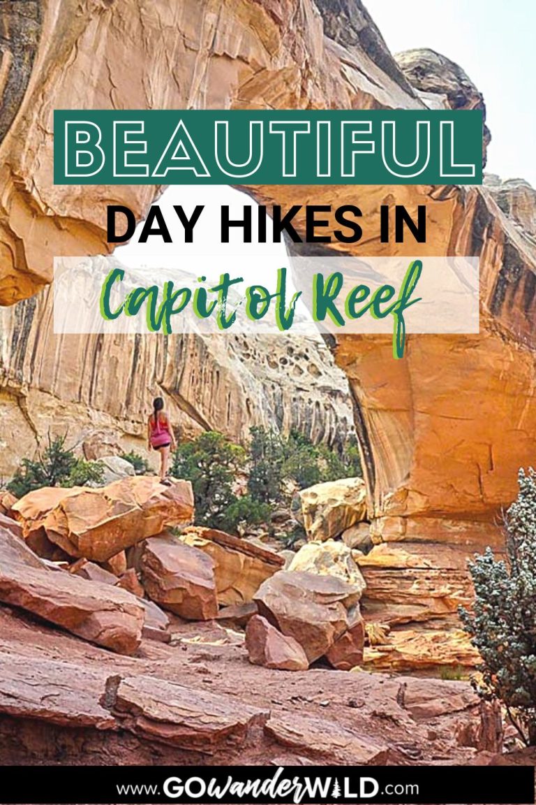 17 Best Hikes In Capitol Reef National Park, Utah - Go Wander Wild