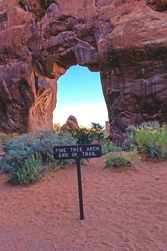 Pine Tree Arch Trail Arches National Park