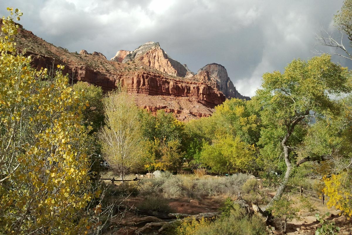 Pa’rus Trail (Wube Kumsa)