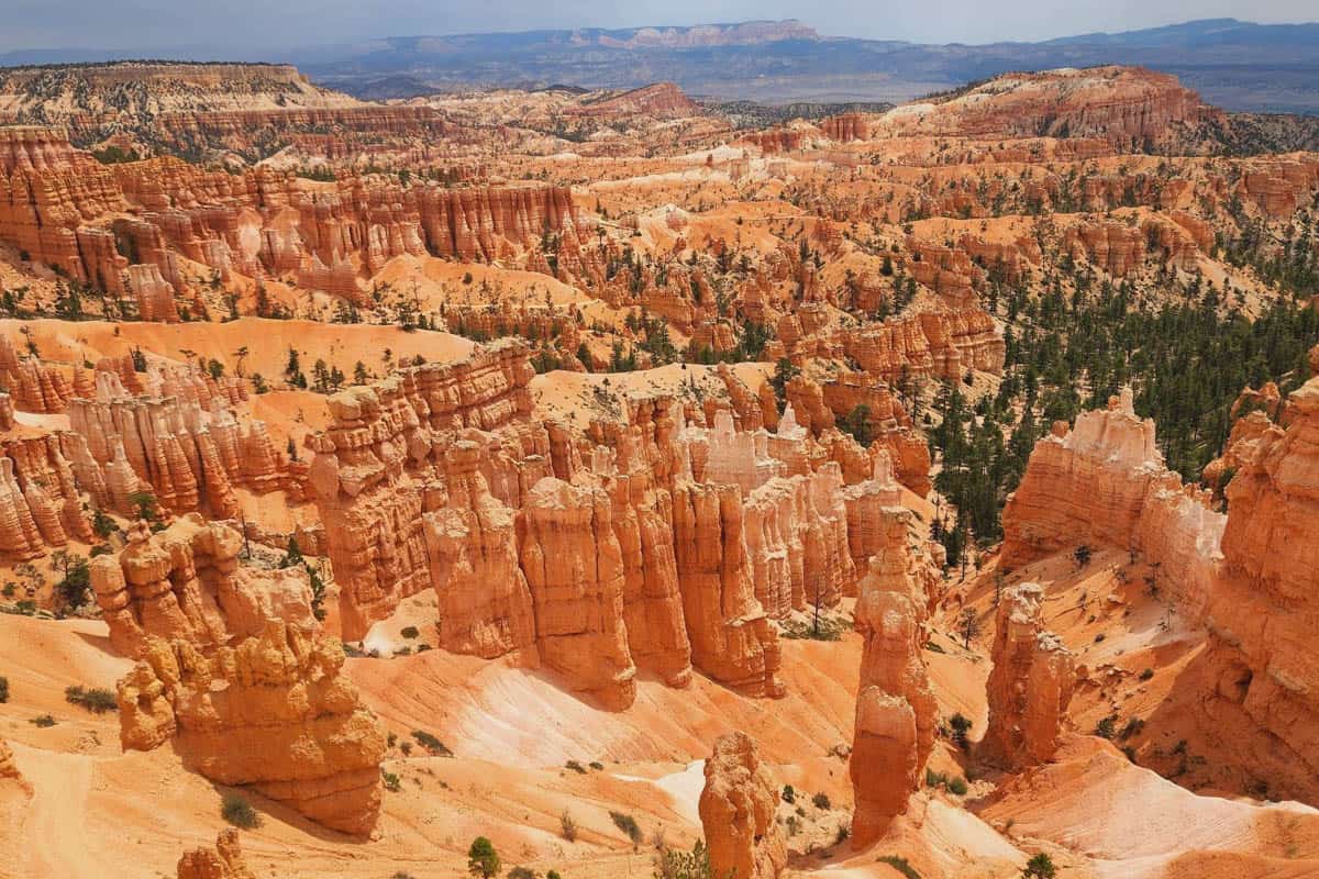Rim Trail (Patti Perkons)