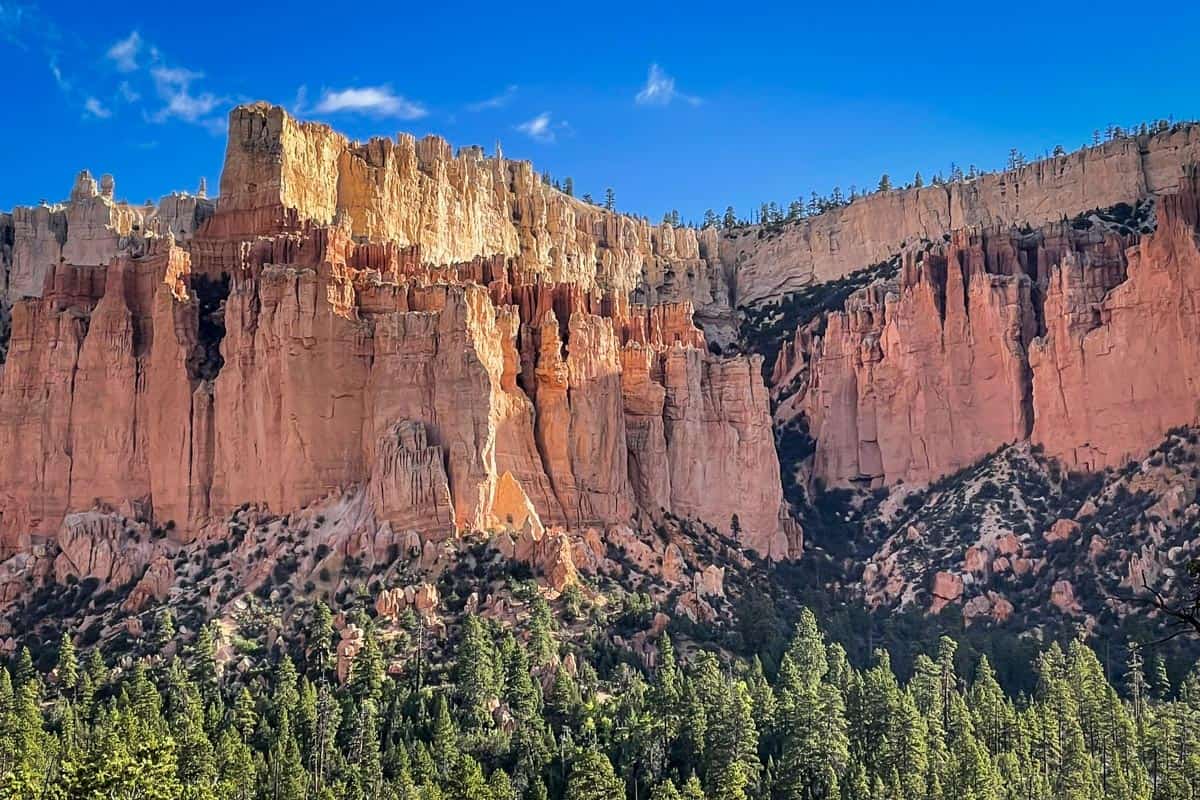 Under The Rim Trail (Dennis McWillians)